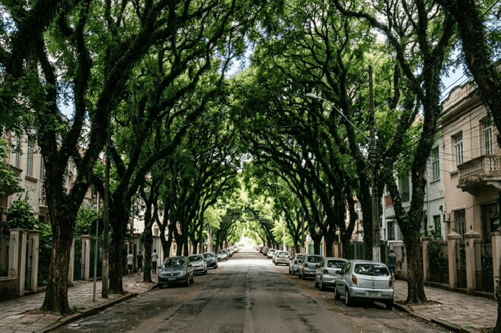 Parece até filme, mas é no Brasil onde fica a rua mais bonita do mundo