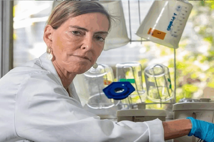 Tatiana Sampaio, a cientista brasileira que pode mudar rumos da medicina, é o assunto do momento