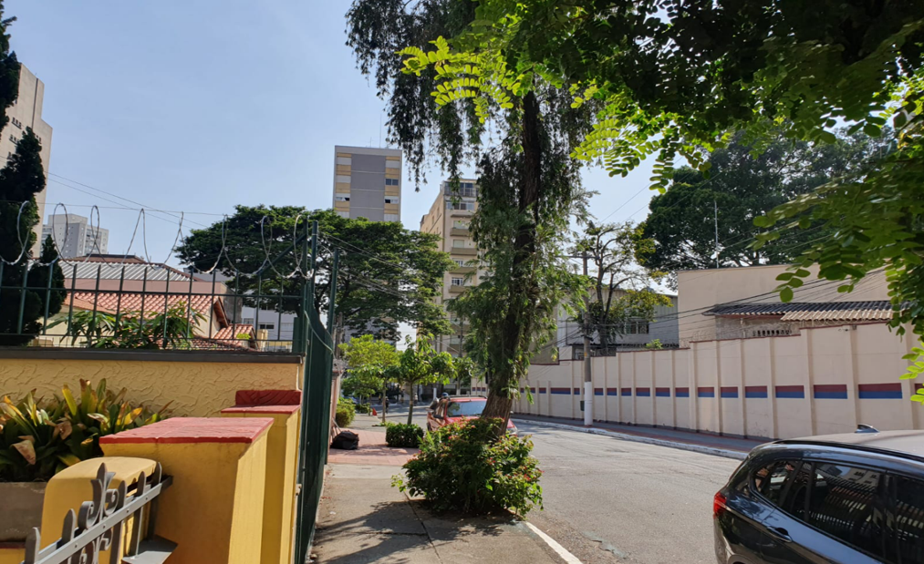 Árvore com a raiz adentrando área residencial