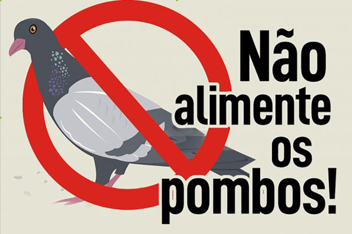 Não Alimente os Pombos
