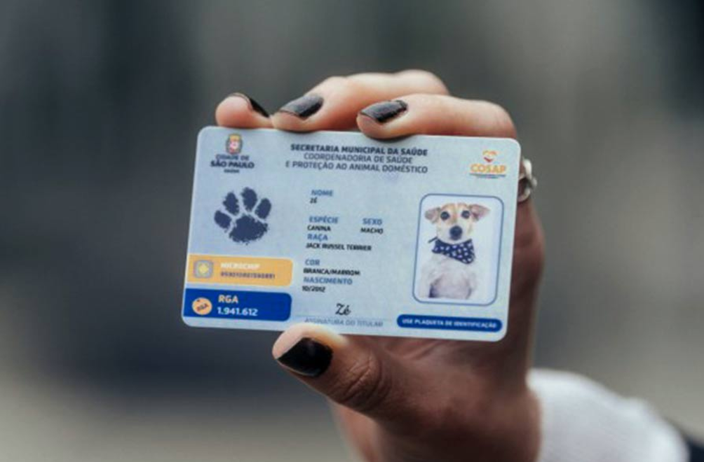 ‘RG’ eletrônico dos animais domésticos é lançado pela prefeitura de SP