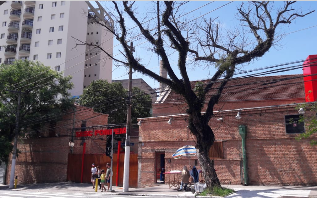 E a árvore ainda está lá