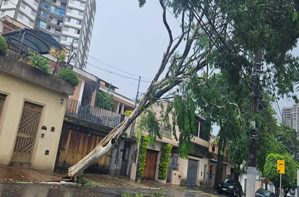 São Paulo tem chuva forte e 76 chamados de queda de árvores