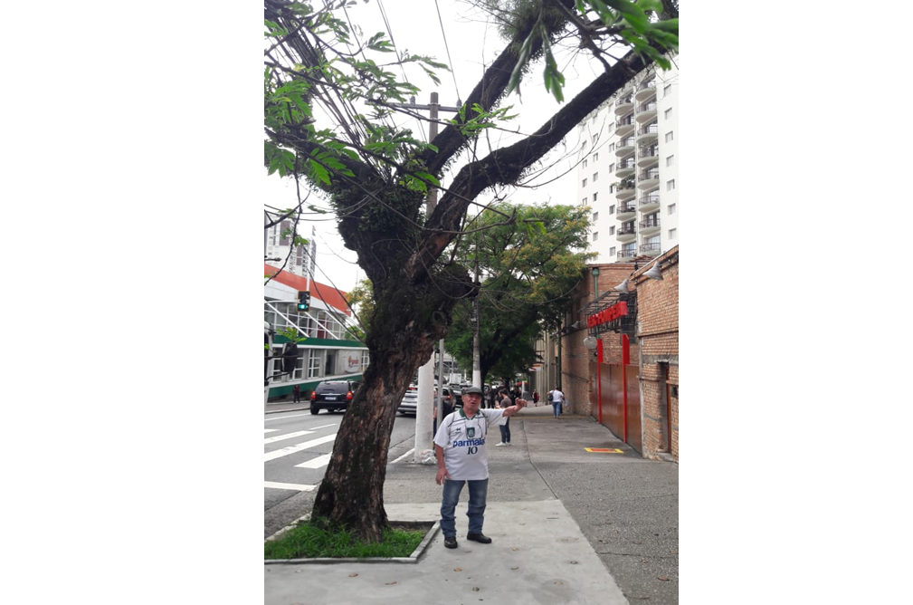 Ainda aguardando providências