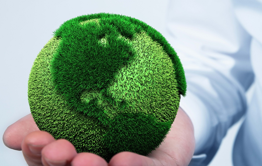 Dia Mundial do Meio Ambiente