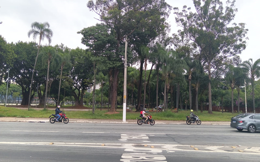 O novo Parque D. Pedro II