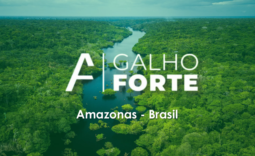 Projeto Galho Forte, despertando a conscientização através da ação