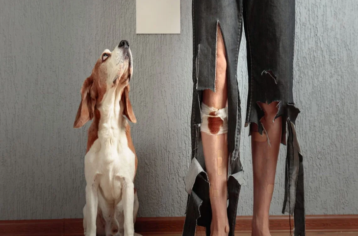 O animal mais fiel ao homem não é o cachorro, segundo estudo