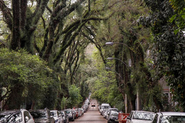 Rua brasileira é eleita a mais bonita do mundo