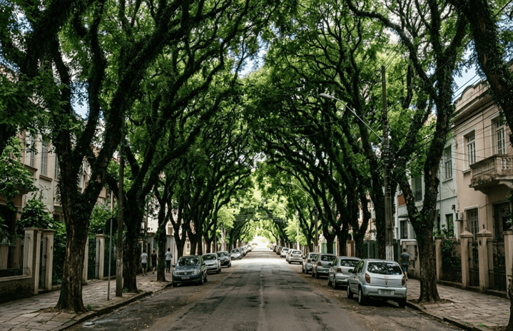 Parece até filme, mas é no Brasil onde fica a rua mais bonita do mundo