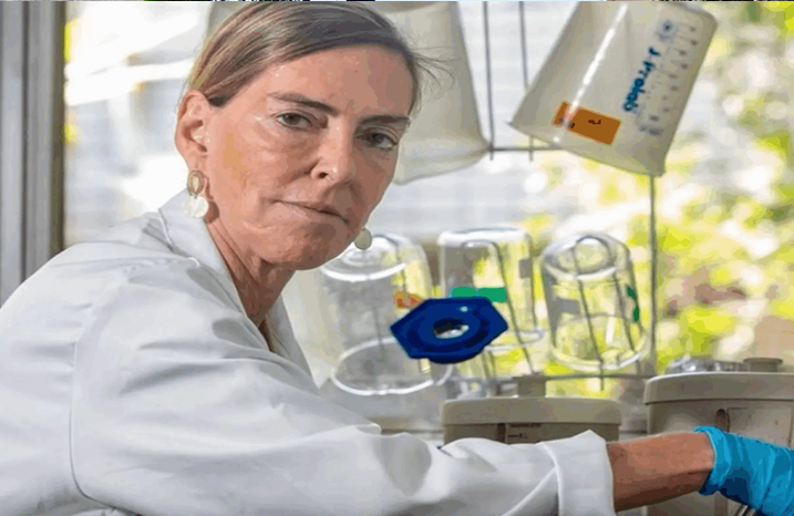Tatiana Sampaio, a cientista brasileira que pode mudar rumos da medicina, é o assunto do momento